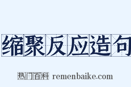 缩聚反应造句是什么意思的图片